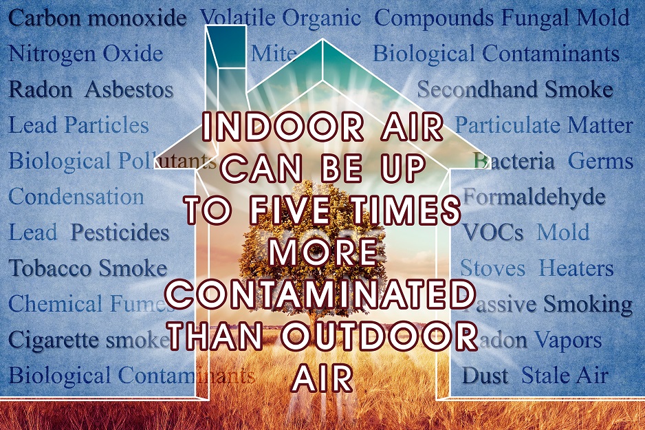 indoor air concept image with common domestic pollutants
